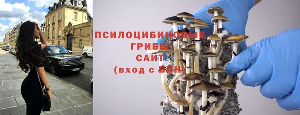твердый Белокуриха