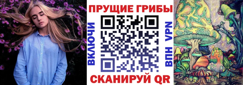 Псилоцибиновые грибы Psilocybe  где найти   мега маркетплейс  Улан-Удэ 