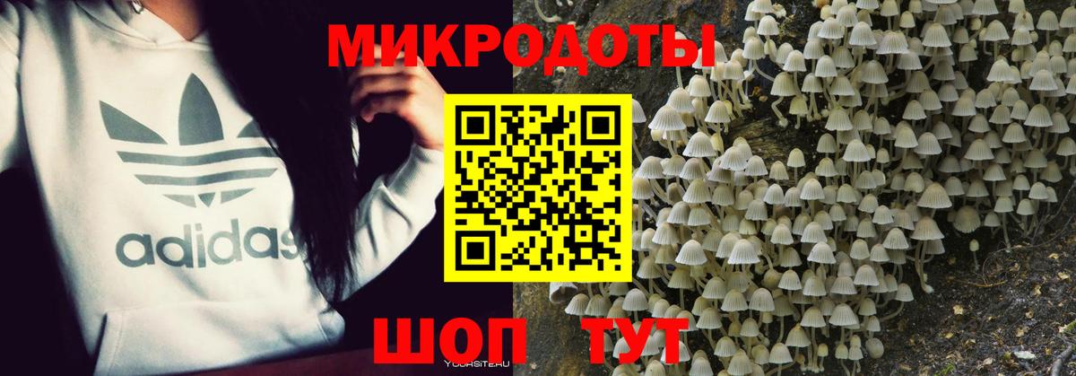 Улан-Удэ  Галлюциногенные грибы мицелий  Вход с VPN 